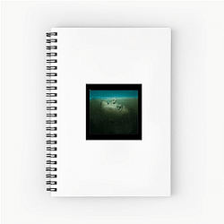 Absentia Merch Absentia Notebook