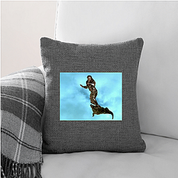 Ace Rimmer Special Collection Ace Rimmer Pillows Cover