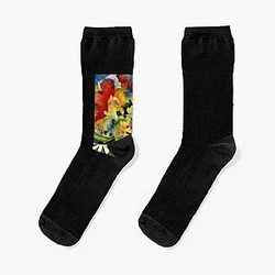 Adrianne Lenker Socks