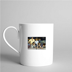 Adventureland was directed by Mottola Adventureland Mugs