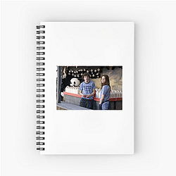 Adventureland features Kristen Stewart Adventureland Notebook