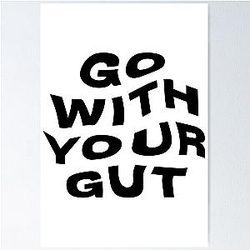 Airrack Merch Go With Your Gut Poster
