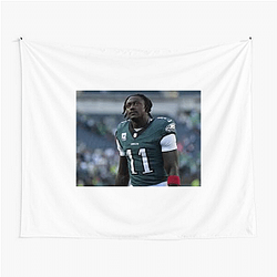 A. J. Brown Collection for fans A. J. Brown Tapestries