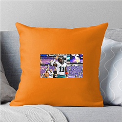 A. J. Brown Limited Collection A. J. Brown Pillows Cover