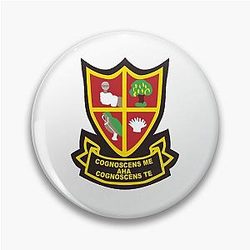 Alan Partridge Blazer Badge Pin