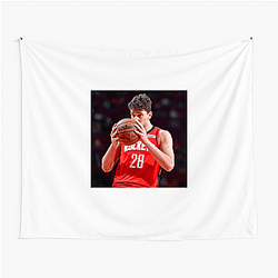 Alperen Şengün plays for the Houston Rockets Alperen Şengün Tapestries