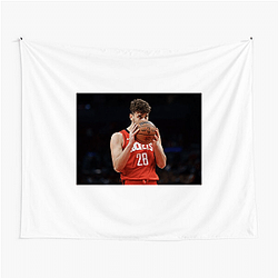 Alperen Şengün plays in the NBA Alperen Şengün Tapestries