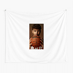 Alperen Şengün is a rising star in the league Alperen Şengün Tapestries