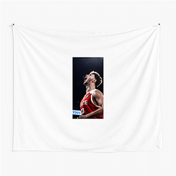 Alperen Şengün is a professional basketball player Alperen Şengün Tapestries
