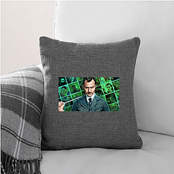 A Man Called Otto was a commercial success A Man Called Otto Pillows Cover