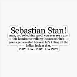 Sebastian Stan quote by Anthony Mackie