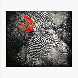 Meet Antonio Banderas Photographic Print