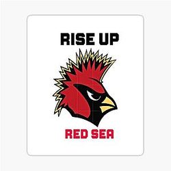 Arizona Cardinals Sticker
