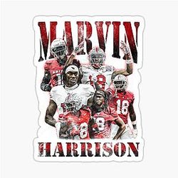 Arizona Cardinals Sticker