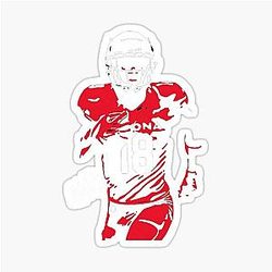 Art Arizona Cardinals Sticker