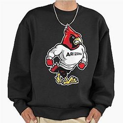 Art Arizona Cardinals Premium Oversized Sweatshirt