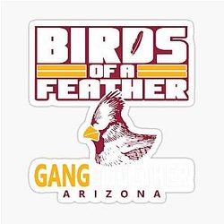 Art Arizona Cardinals Sticker