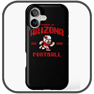 Arizona Cardinals Cases
