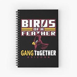 Art Arizona Cardinals Notebook
