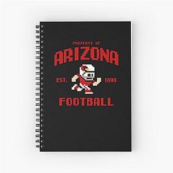 Art Arizona Cardinals Notebook