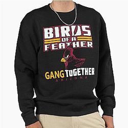 Art Arizona Cardinals Pullover Sweatshirt