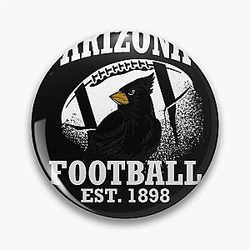 Art Arizona Cardinals Pin