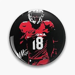 Art Arizona Cardinals Pin