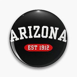 Art Arizona Cardinals Pin