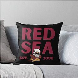 Art Arizona Cardinals Throw Pillow
