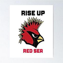 Arizona Cardinals Poster