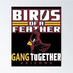 Art Arizona Cardinals Poster