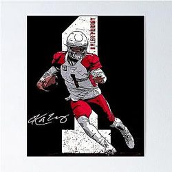 Art Arizona Cardinals Poster