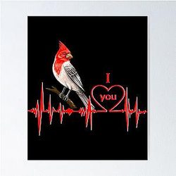 Arizona Cardinals Poster