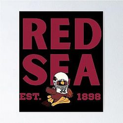 Arizona Cardinals Poster