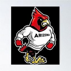 Arizona Cardinals Poster