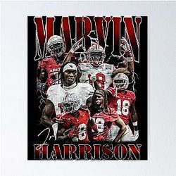 Art Arizona Cardinals Poster