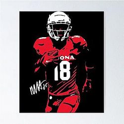 Art Arizona Cardinals Poster