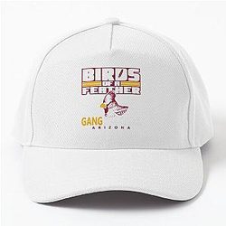 Arizona Cardinals Baseball Cap