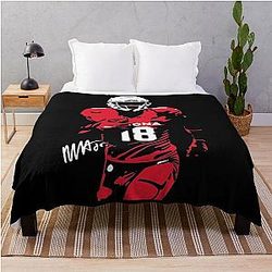 Art Arizona Cardinals Throw Blanket