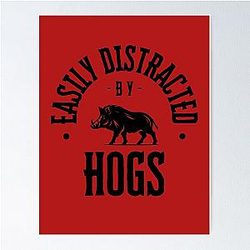 Easily Distracted by Arkansas Razorbacks Poster