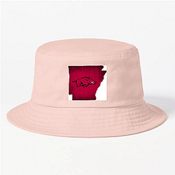 Arkansas Razorbacks Special Collection Arkansas Razorbacks Hats & Caps