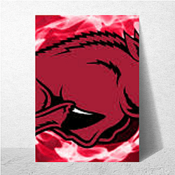 Arkansas Razorbacks Limited Collection Arkansas Razorbacks Posters