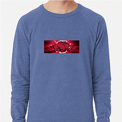 Arkansas Razorbacks Limited Collection Arkansas Razorbacks Sweatshirts