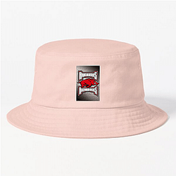 Arkansas Razorbacks Merch Collection Arkansas Razorbacks Hats & Caps