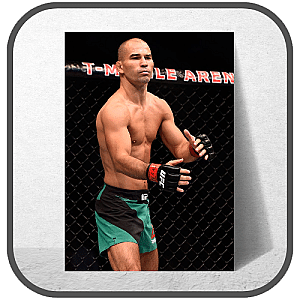 Artem Lobov Posters