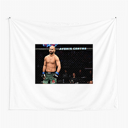 Artem Lobov is a well known figure in MMA Artem Lobov Tapestries