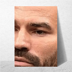 Artem Lobov fought in the featherweight division Artem Lobov Posters