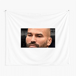 Artem Lobov fought in the featherweight division Artem Lobov Tapestries
