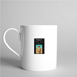 Asteroid City premiered at the Cannes Film Festival Asteroid City Mugs