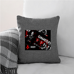 Astralis Group is publicly traded Astralis Pillows Cover